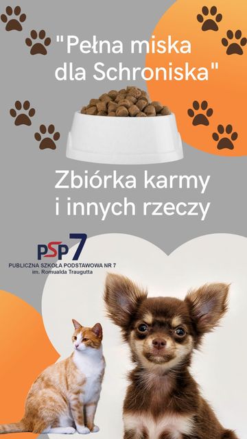 Szkolna zbiórka na rzecz Schroniska dla Bezdomnych Zwierząt w Radomsku