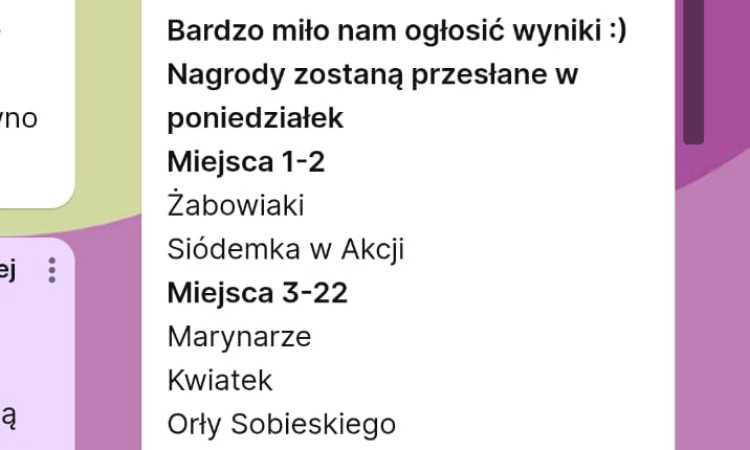 Sukces na Ogólnopolskim Festiwalu Internetowym organizowany przez CEO