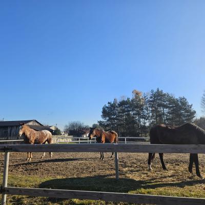 82fd7b84 6325 4a96 A9fc 1a2a42cba421