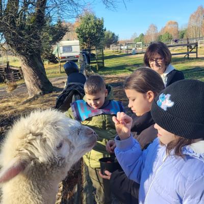 8f0f68b3 10fb 4721 B71c 1c1a9b8dec44