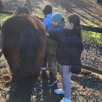 B31f21f5 Fbce 476c 8d8c 564920042976