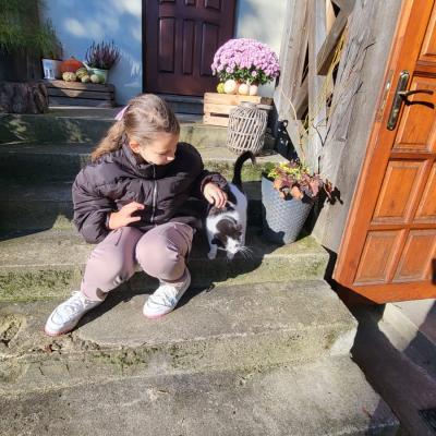 F6fb00fb F80e 4080 Ba7b 90ea3b91a8d8