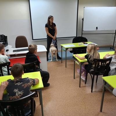 2d9e0df3 287a 47fc 9fa6 82bc82fa7198