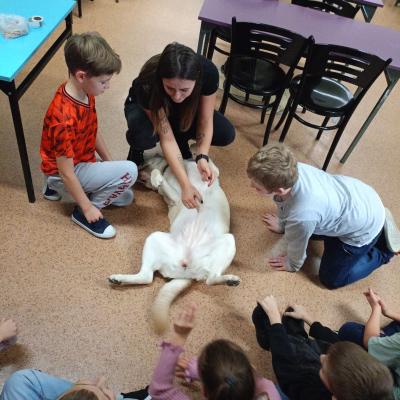 369aaa51 1875 40bf B4eb 350afb692e17