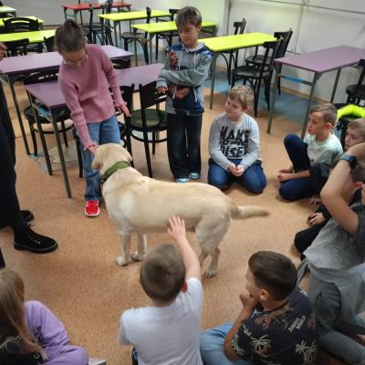 38f5e250 D994 426a 8ff7 687e843108e5