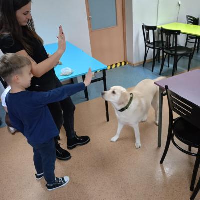 53a6a607 Cf49 4657 81a8 7ab57718ad45