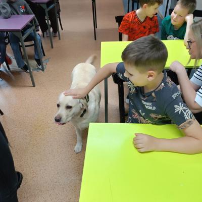 6315ecdd 2663 4739 8e55 057d542cbd1f