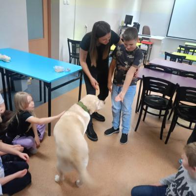 6c6d092c 59e6 4cb1 B8eb C26c930640ad