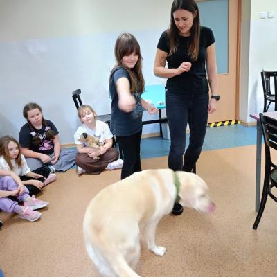 6d23911f 1adc 4c14 820c 4878aa9249f7