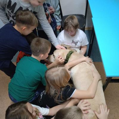 73423c33 Bfce 4bf2 B5a9 7d6b3bd3b3d0