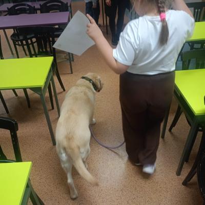 74afaedb 3add 47e3 890d 48b477183fca