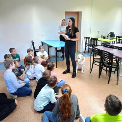 817b7772 C8ff 45e2 977b 119421ec8de5