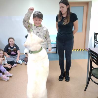 98425a19 F8f4 4229 B739 C69d297c7220