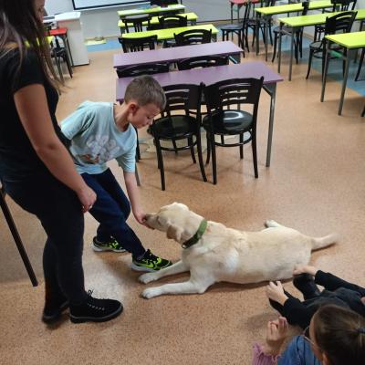 9bdf2831 B6a2 4901 Bcc7 Dcfc1604eb18