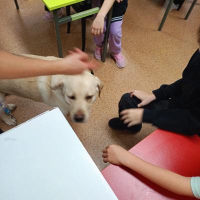 B057256f C5c6 4878 888c 446bb93d0b1c