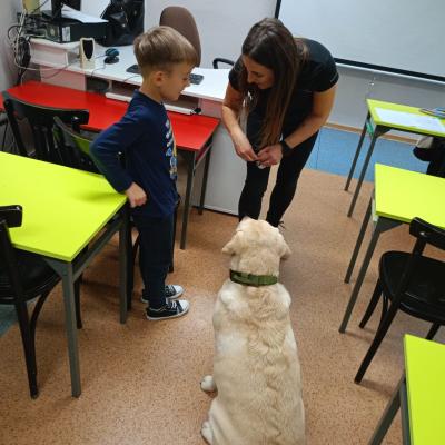 Ba608e1e 5d8e 412e Bf3e 279f818ebf6b