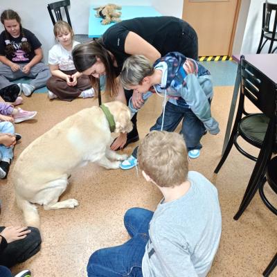 Bc34624e 7c3b 4592 A555 F0336f0af841