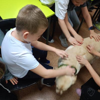 E1b08d9b 337e 4898 9ff3 87724ea60292