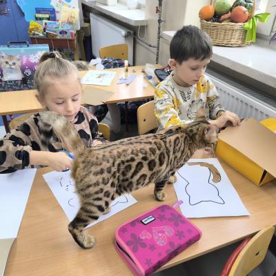 2fe9ffb7 6224 4b0f B480 21ff1460a001