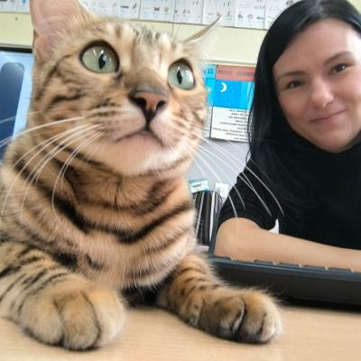 495448e9 B87c 417d A580 914a825ecc60