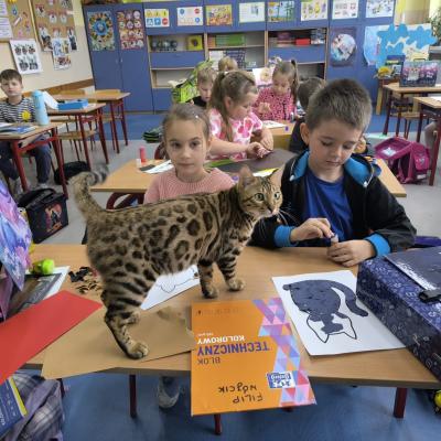 C1008b5b D52c 43ff 8da5 Cd1e126bad50