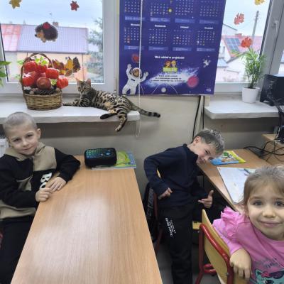 F17fcb0c 4209 481d B32a 256960902b86