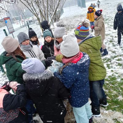 1a2ac021 Ce96 47c5 Badb De7d717063fe