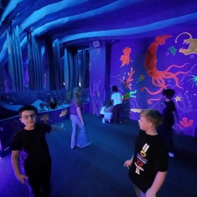 8bb8e919 09fc 4aca 9d2f A9131488205d