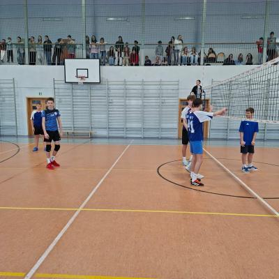 2796d4d5 Abcb 4ad8 93f6 0fad578723bb