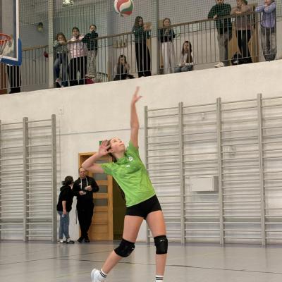 31329a3b 4289 4dbf A3bd 7b868e00f004