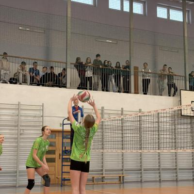 E748039f A82d 41ee Bbd4 36b33a8bec6d