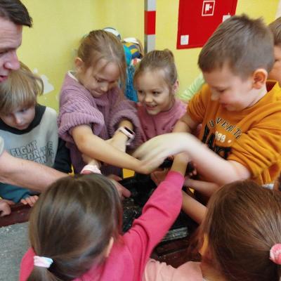 87bfe5e5 24fe 423b A33f 46d4ba259d04