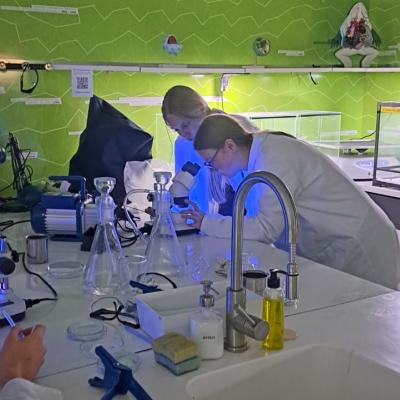 9d2cdef9 455d 4d89 9e83 6da1bb2f7a33