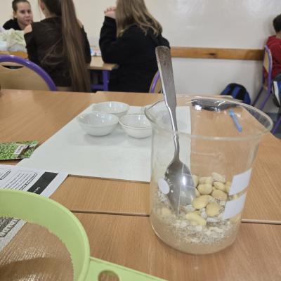 Acff8885 C077 45d3 819d 32b56652ec4a