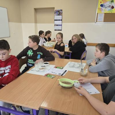 C87283b6 0809 4997 Baf1 F4131355b070