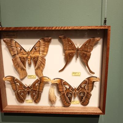 30cd40a4 570c 4e9e 8b08 7ae43c9a8ae8