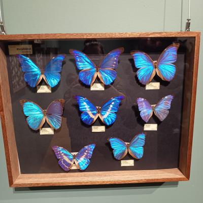 D733124b 4297 401d Acc8 207ce303cd2b