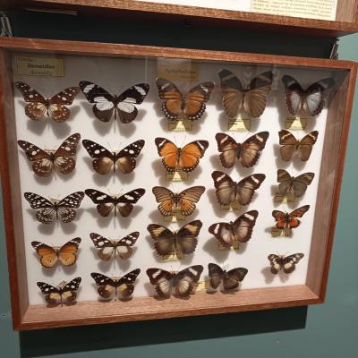 E1981d33 15fe 4be3 85bf 44e3c47939e2