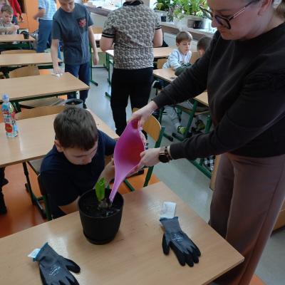 0e75926d 3054 482c 8d2f A5b2e8c856c3