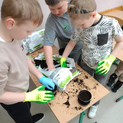 2a77699e 45f5 48fc B2bd 813d1360c59d