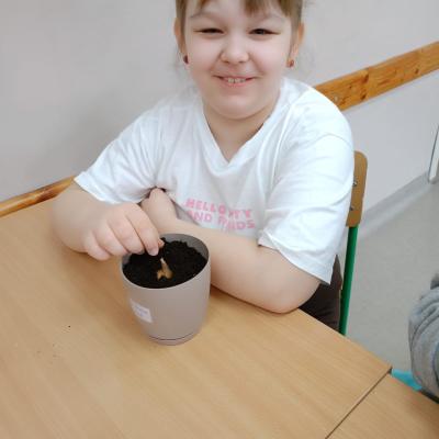 C9251e41 D934 4e3f 8d68 Afa2e2a5ee3c